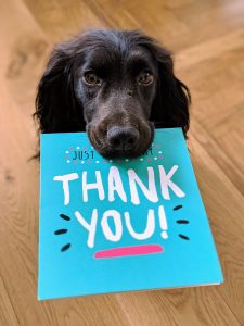 Dog holding a thank you card