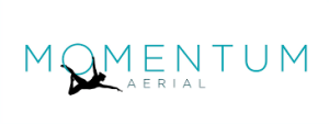 Momentum Aerial Logo